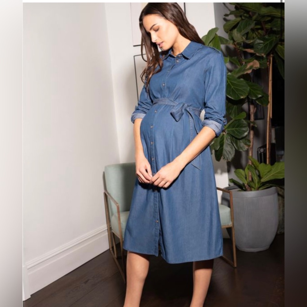 Seraphine Maternity Denim Dress